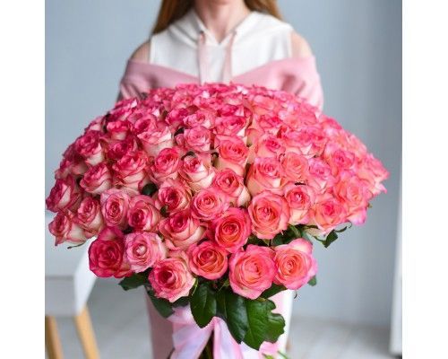 101 розово-белая роза эквадор купить за 5 200 грн. 