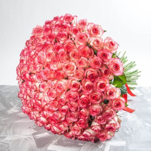 101 розово-белая роза Украины купить за 2 625 грн. 