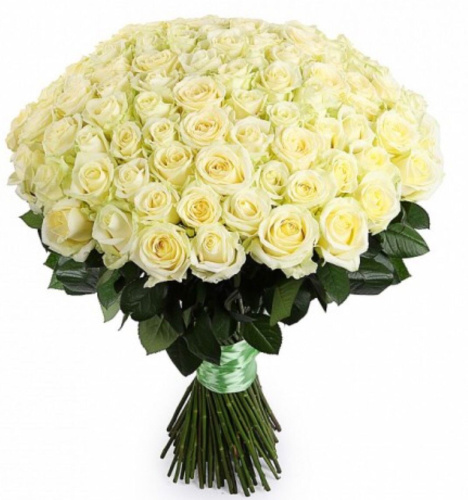 101 белая роза купить за 2 625 грн. 